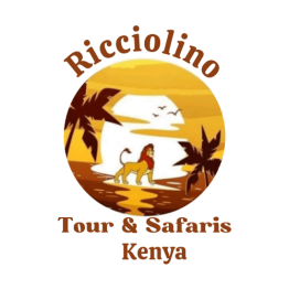 safari kenya organizzato